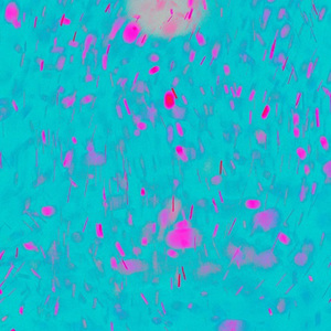 国产特特A级毛片VVWW
